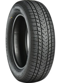 205/55 R17 95V ZIMA Gripmax SUREGRIP eWINTER XL